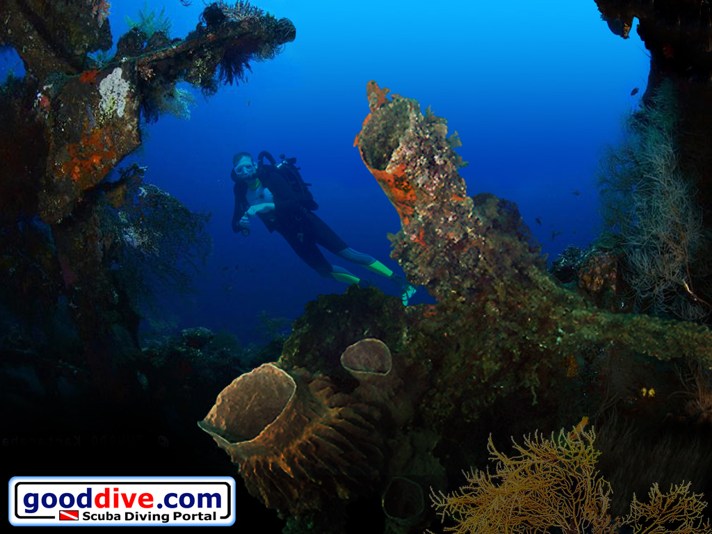 Wallpaper Barrel Sponge 1024 x 768