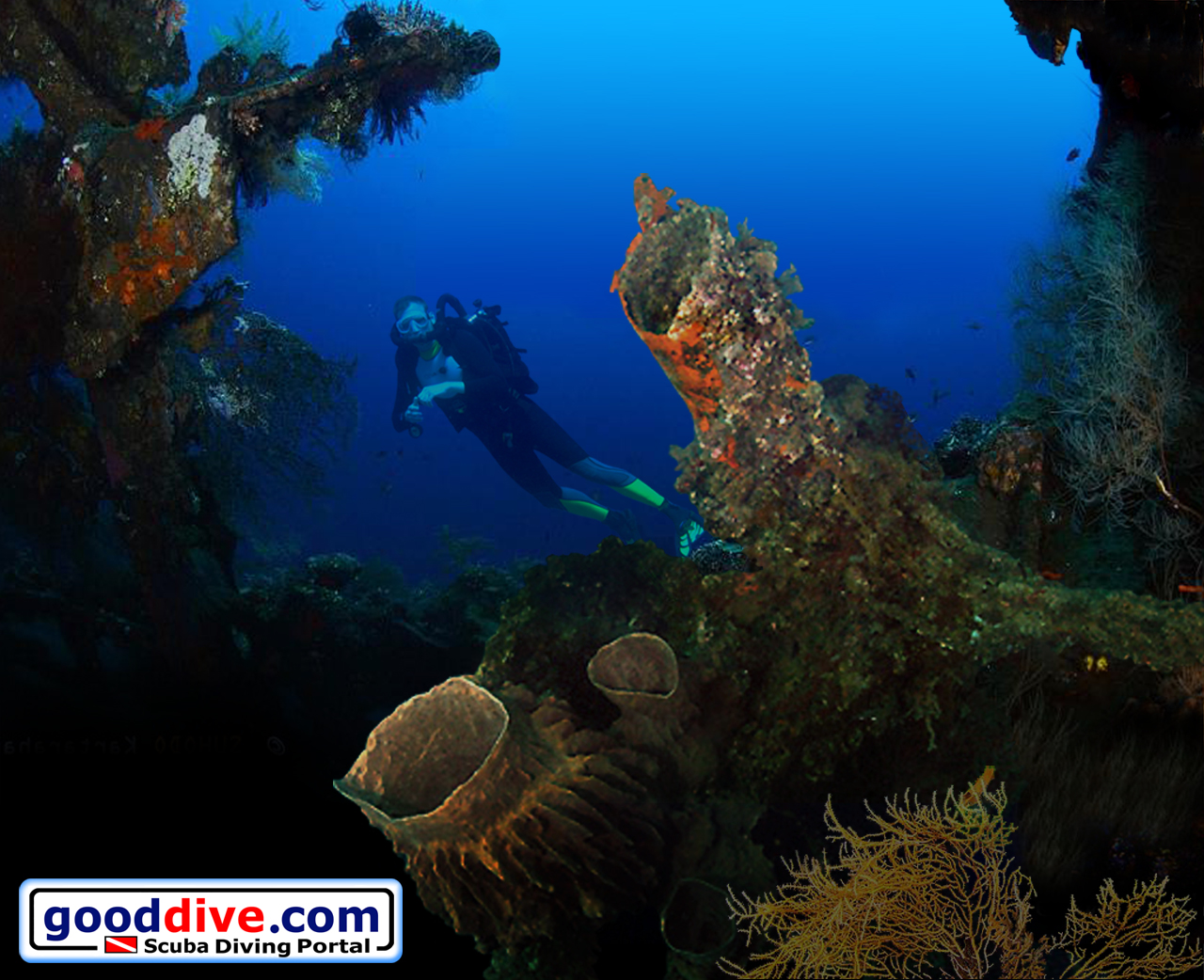 Wallpaper Barrel Sponge 1280 x 1024
