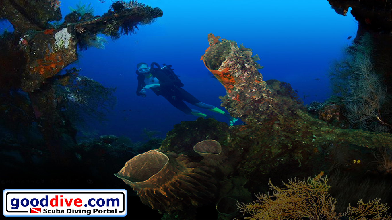 Wallpaper Barrel Sponge 1366 x 768